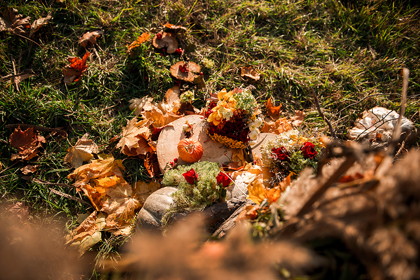 Свадебный фотограф Aleksandr Biryukov Раменское Жуковский Москва | A little autumn dream Свадьба Анны и Николая