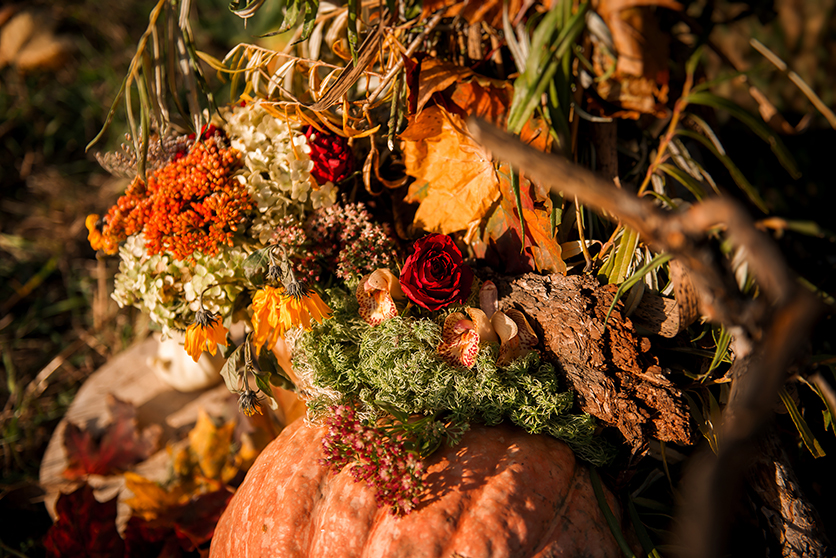 Свадебный фотограф Aleksandr Biryukov Раменское Жуковский Москва | A little autumn dream Свадьба Анны и Николая